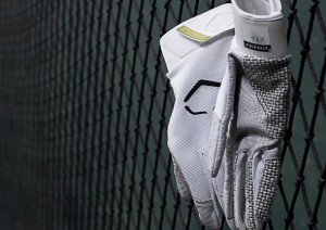 Evo Shield Batting Gloves